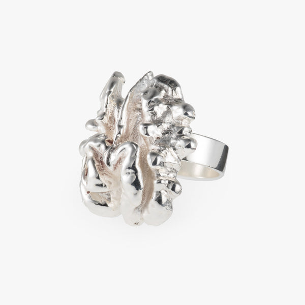 Silver Walnut Ring