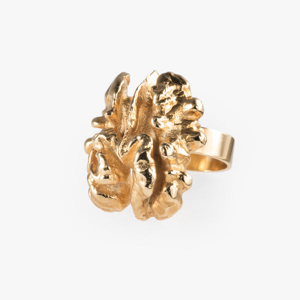 Gold Walnut Ring